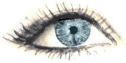 Augenlichtschutz_Auge_Wimpern_Informationen